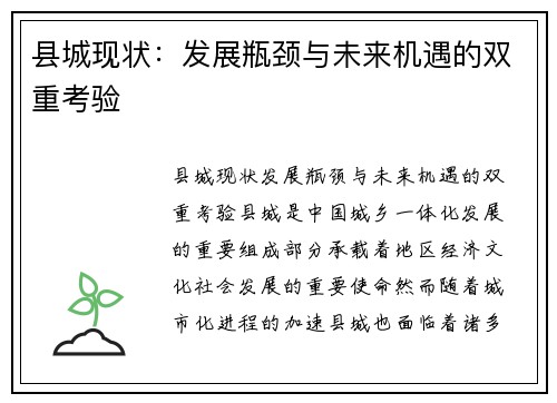 县城现状：发展瓶颈与未来机遇的双重考验